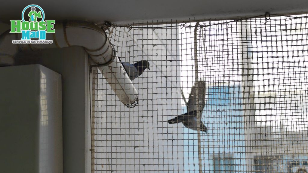 pigeon net installation